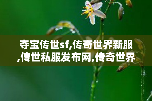 夺宝传世sf,传奇世界新服,传世私服发布网,传奇世界新服