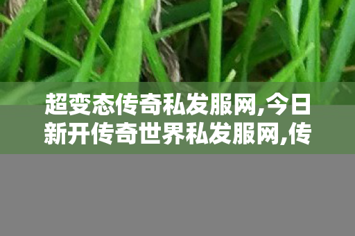 超变态传奇私发服网,今日新开传奇世界私发服网,传奇世界网站,今日新开传奇世界私发服网