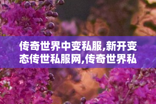 传奇世界中变私服,新开变态传世私服网,传奇世界私服网站新开网,新开变态传世私服网