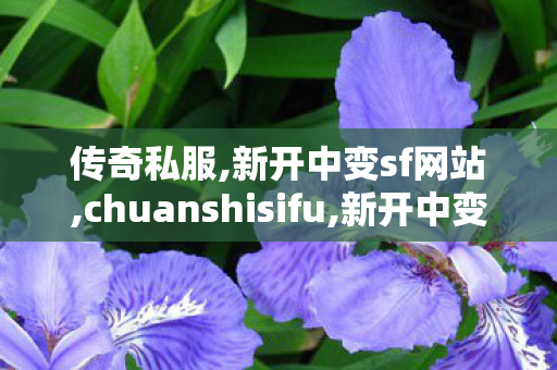 传奇私服,新开中变sf网站,chuanshisifu,新开中变sf网站