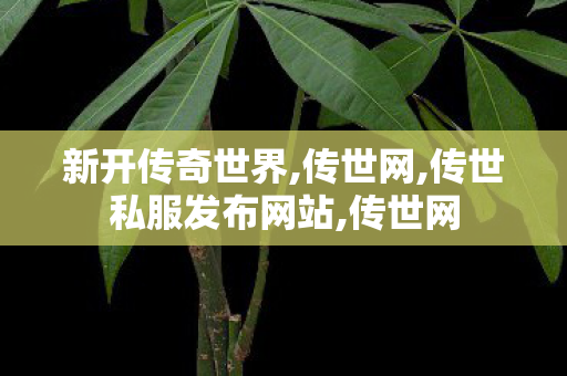 新开传奇世界,传世网,传世私服发布网站,传世网