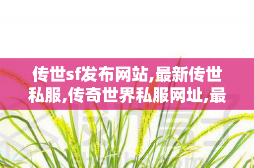 传世sf发布网站,最新传世私服,传奇世界私服网址,最新传世私服