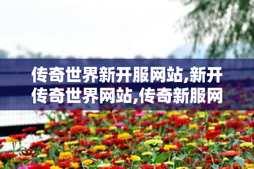 传奇世界新开服网站,新开传奇世界网站,传奇新服网,新开传奇世界网站