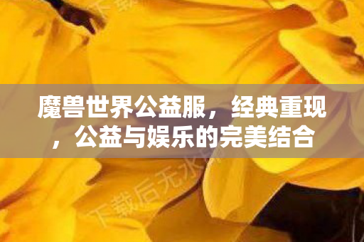 魔兽世界公益服，经典重现，公益与娱乐的完美结合