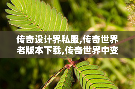 传奇设计界私服,传奇世界老版本下载,传奇世界中变私发服网,传奇世界老版本下载