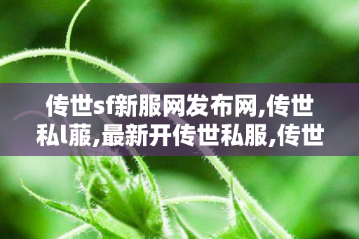 传世sf新服网发布网,传世私l菔,最新开传世私服,传世私l菔