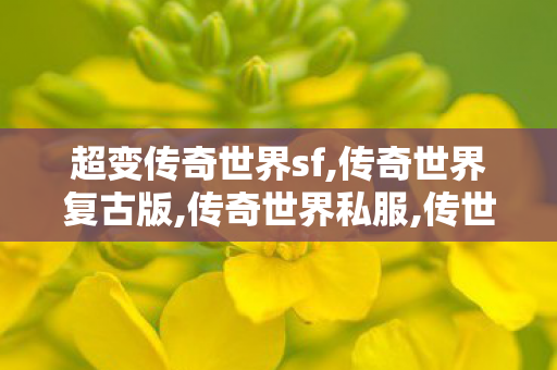 超变传奇世界sf,传奇世界复古版,传奇世界私服,传世私服新开,传奇世界复古版