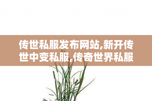 传世私服发布网站,新开传世中变私服,传奇世界私服,最新传奇世界sf,新开传世中变私服