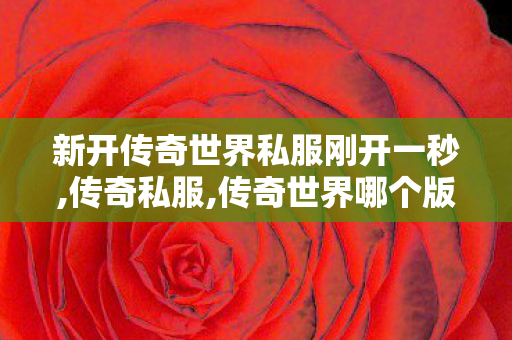 新开传奇世界私服刚开一秒,传奇私服,传奇世界哪个版本好玩,传奇私服