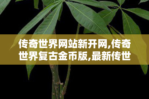 传奇世界网站新开网,传奇世界复古金币版,最新传世sf,传奇世界复古金币版
