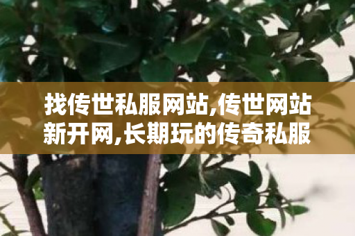 找传世私服网站,传世网站新开网,长期玩的传奇私服,传世网站新开网