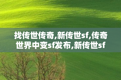找传世传奇,新传世sf,传奇世界中变sf发布,新传世sf
