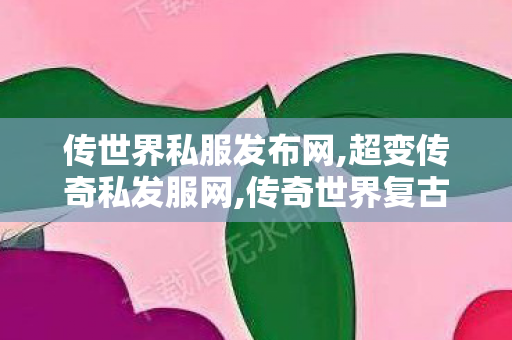 传世界私服发布网,超变传奇私发服网,传奇世界复古版本下载,超变传奇私发服网