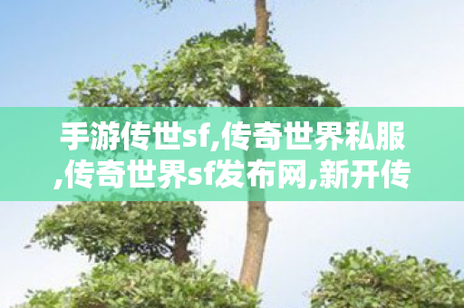 手游传世sf,传奇世界私服,传奇世界sf发布网,新开传世,传奇世界私服,传奇世界sf发布网