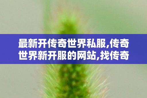 最新开传奇世界私服,传奇世界新开服的网站,找传奇世界sf,传奇世界新开服的网站