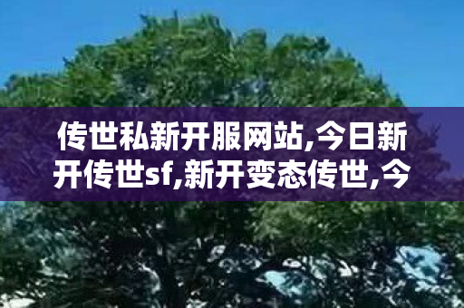 传世私新开服网站,今日新开传世sf,新开变态传世,今日新开传世sf