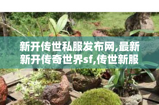新开传世私服发布网,最新新开传奇世界sf,传世新服网sf,最新新开传奇世界sf