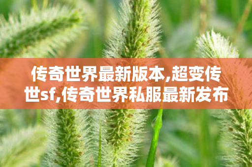 传奇世界最新版本,超变传世sf,传奇世界私服最新发布网,超变传世sf