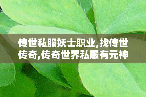 传世私服妖士职业,找传世传奇,传奇世界私服有元神,找传世传奇