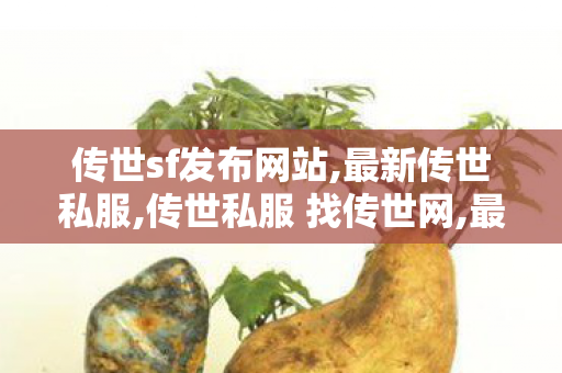传世sf发布网站,最新传世私服,传世私服 找传世网,最新传世私服