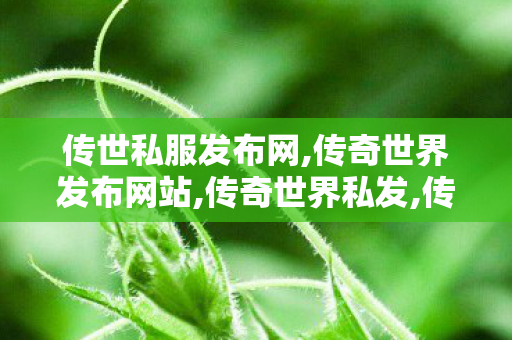 传世私服发布网,传奇世界发布网站,传奇世界私发,传奇世界发布网站