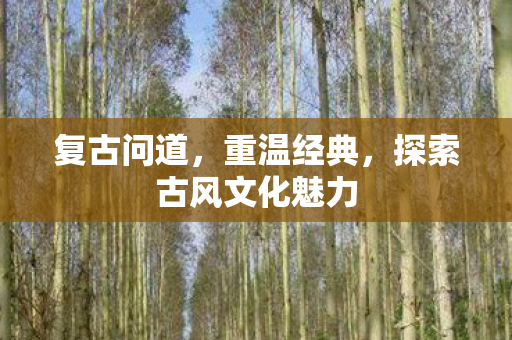 复古问道，重温经典，探索古风文化魅力
