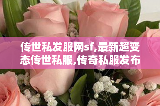 传世私发服网sf,最新超变态传世私服,传奇私服发布网官网,最新超变态传世私服