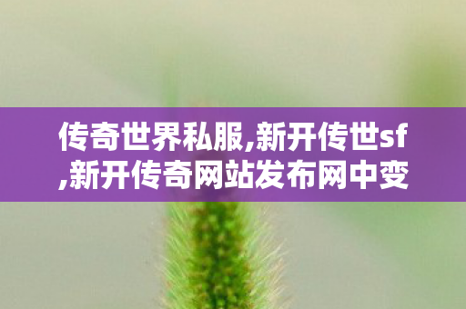 传奇世界私服,新开传世sf,新开传奇网站发布网中变,传世私服发布网,新开传奇网站发布网中变