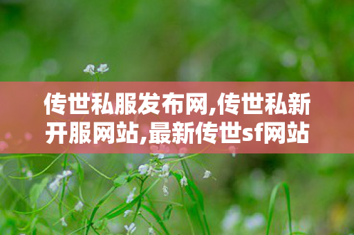 传世私服发布网,传世私新开服网站,最新传世sf网站,传世私新开服网站