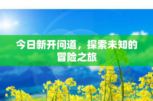 今日新开问道，探索未知的冒险之旅