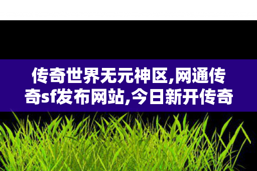 传奇世界无元神区,网通传奇sf发布网站,今日新开传奇世界私发服网,网通传奇sf发布网站