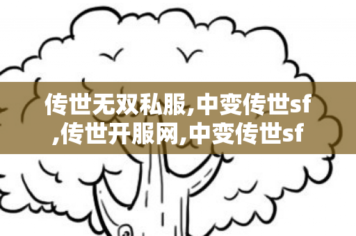 传世无双私服,中变传世sf,传世开服网,中变传世sf