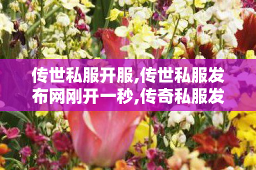 传世私服开服,传世私服发布网刚开一秒,传奇私服发布网官网,传世私服发布网刚开一秒