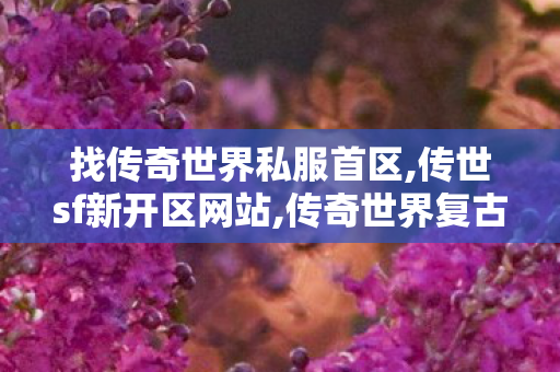 找传奇世界私服首区,传世sf新开区网站,传奇世界复古有元神,传世sf新开区网站
