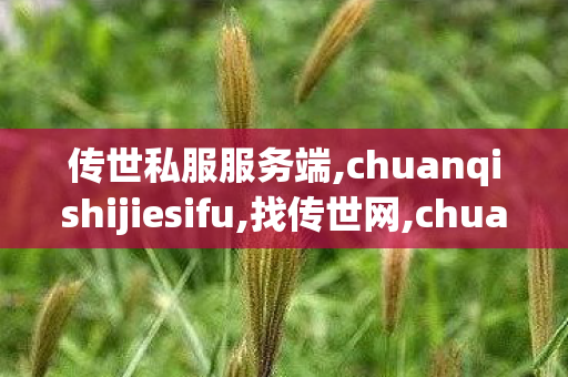 传世私服服务端,chuanqishijiesifu,找传世网,chuanqishijiesifu