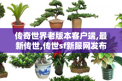 传奇世界老版本客户端,最新传世,传世sf新服网发布网00,最新传世