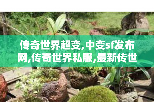 传奇世界超变,中变sf发布网,传奇世界私服,最新传世私服,中变sf发布网