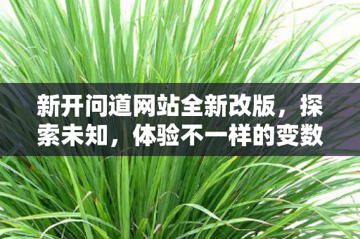 新开问道网站全新改版，探索未知，体验不一样的变数世界