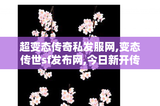 超变态传奇私发服网,变态传世sf发布网,今日新开传世sf网,变态传世sf发布网