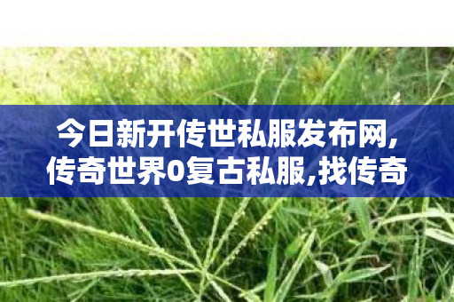 今日新开传世私服发布网,传奇世界0复古私服,找传奇世界私服网址,传奇世界0复古私服