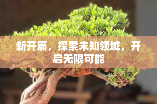 新开篇，探索未知领域，开启无限可能