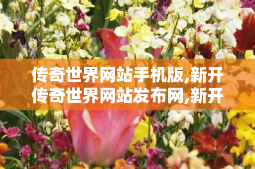 传奇世界网站手机版,新开传奇世界网站发布网,新开传世网站,新开传奇世界网站发布网