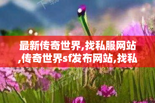 最新传奇世界,找私服网站,传奇世界sf发布网站,找私服网站
