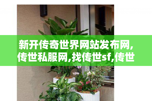 新开传奇世界网站发布网,传世私服网,找传世sf,传世私服网