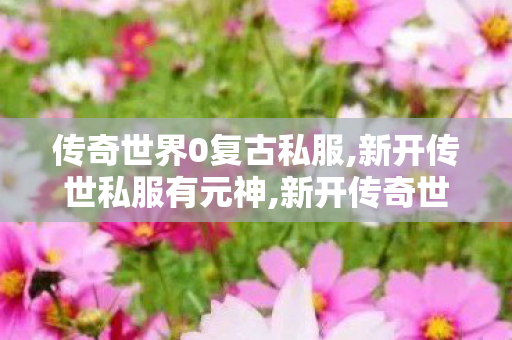 传奇世界0复古私服,新开传世私服有元神,新开传奇世界sf发布,新开传世私服有元神
