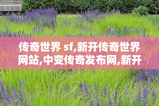 传奇世界 sf,新开传奇世界网站,中变传奇发布网,新开传奇世界网站