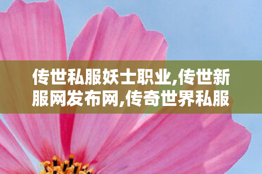 传世私服妖士职业,传世新服网发布网,传奇世界私服开服,传世新服网发布网