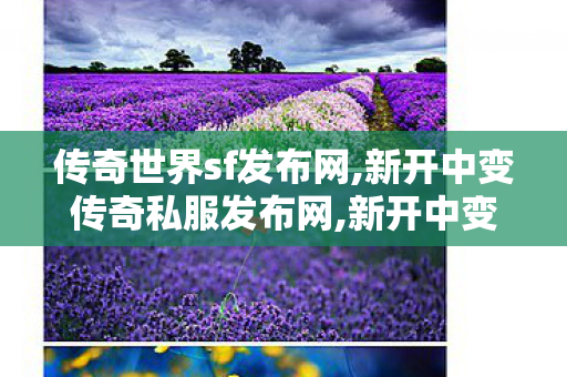传奇世界sf发布网,新开中变传奇私服发布网,新开中变传世,新开中变传奇私服发布网