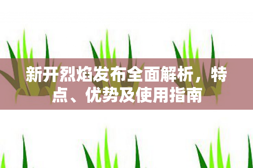 新开烈焰发布全面解析，特点、优势及使用指南