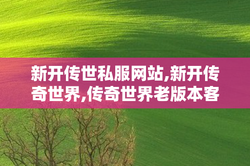 新开传世私服网站,新开传奇世界,传奇世界老版本客户端下载,新开传奇世界